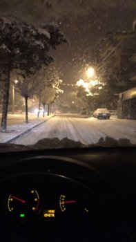 IMG_0596.JPG