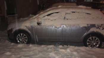 IMG_0597.JPG