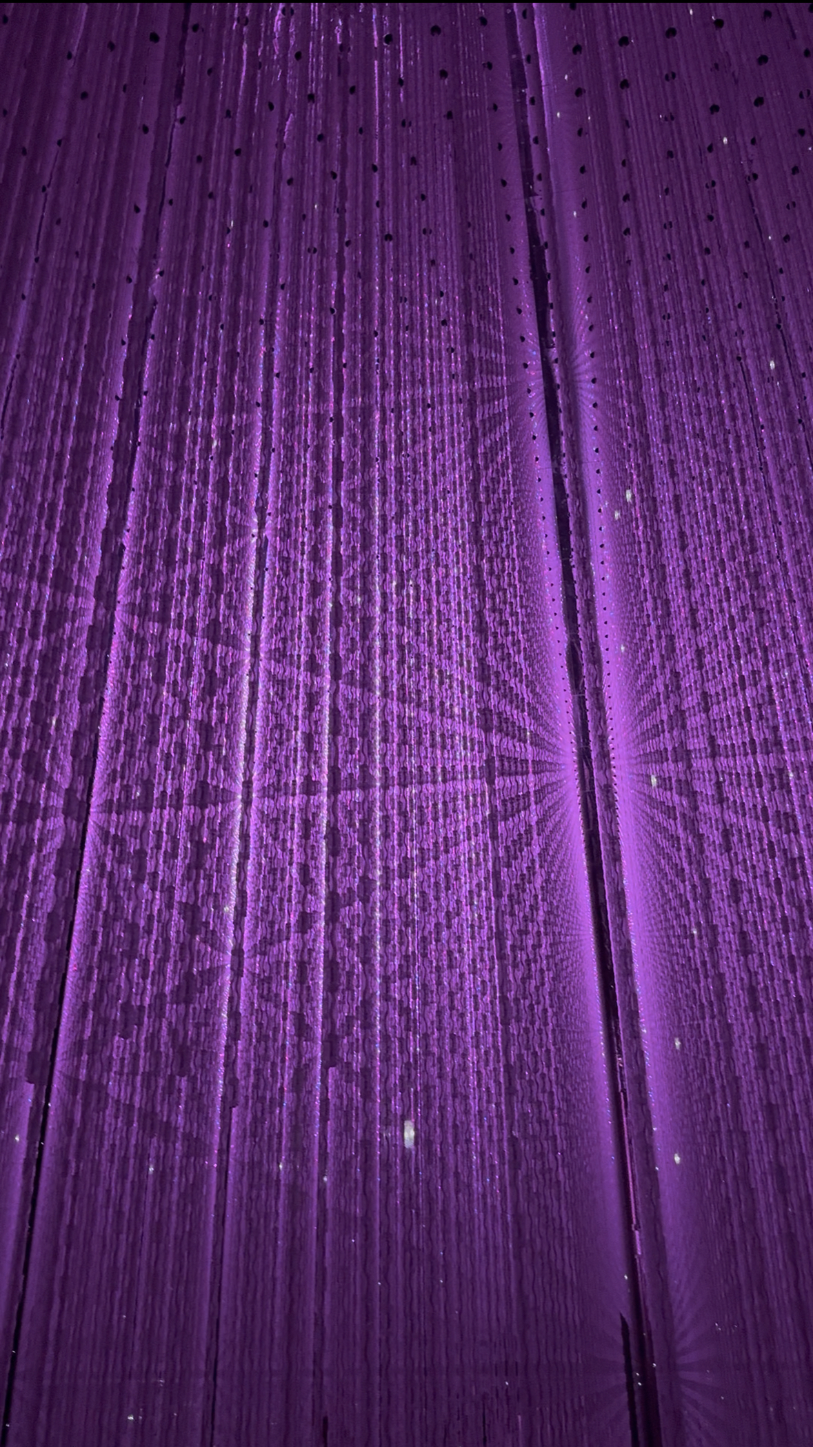 IMG_6373.JPEG