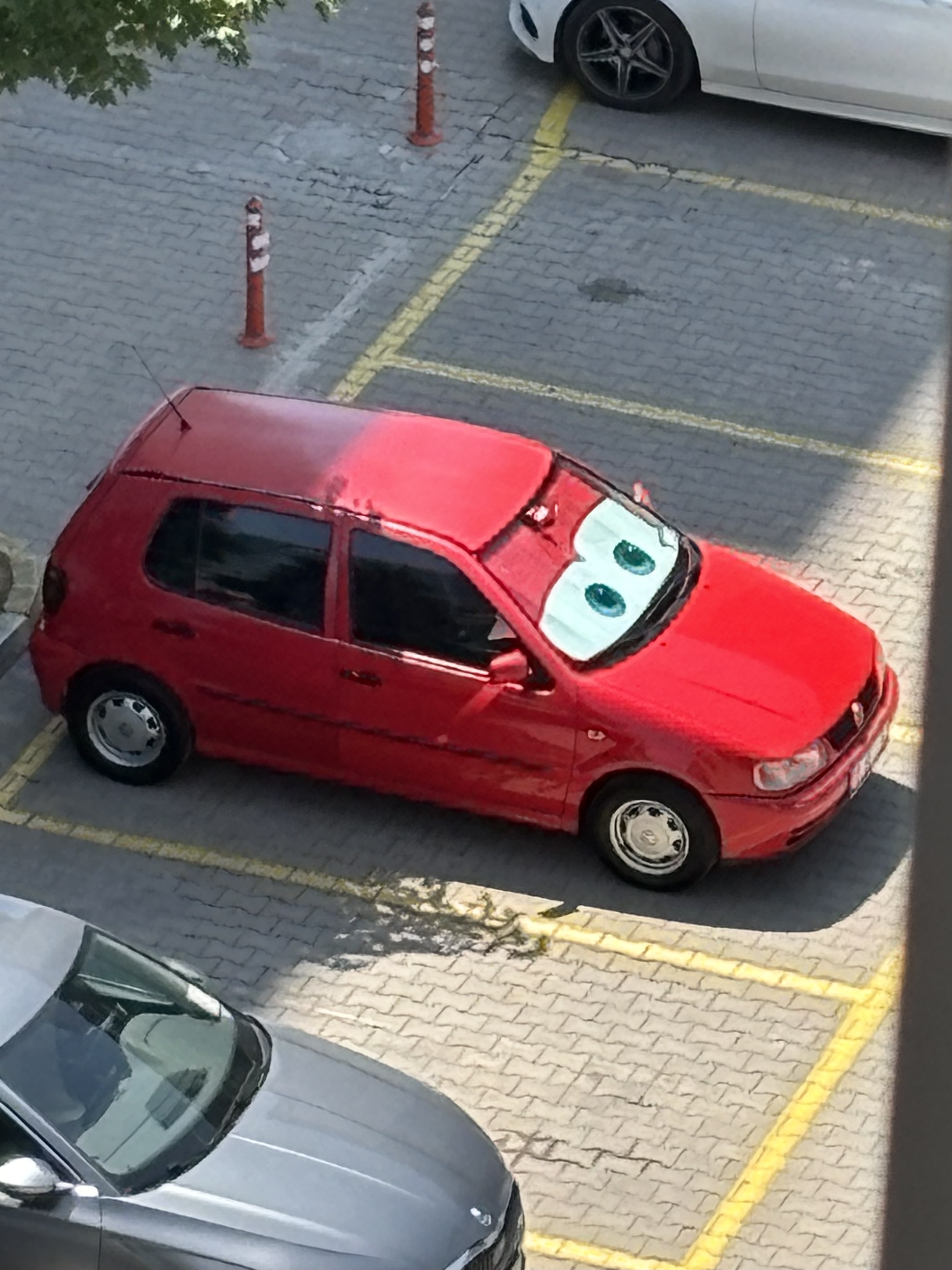 IMG_2855.jpeg