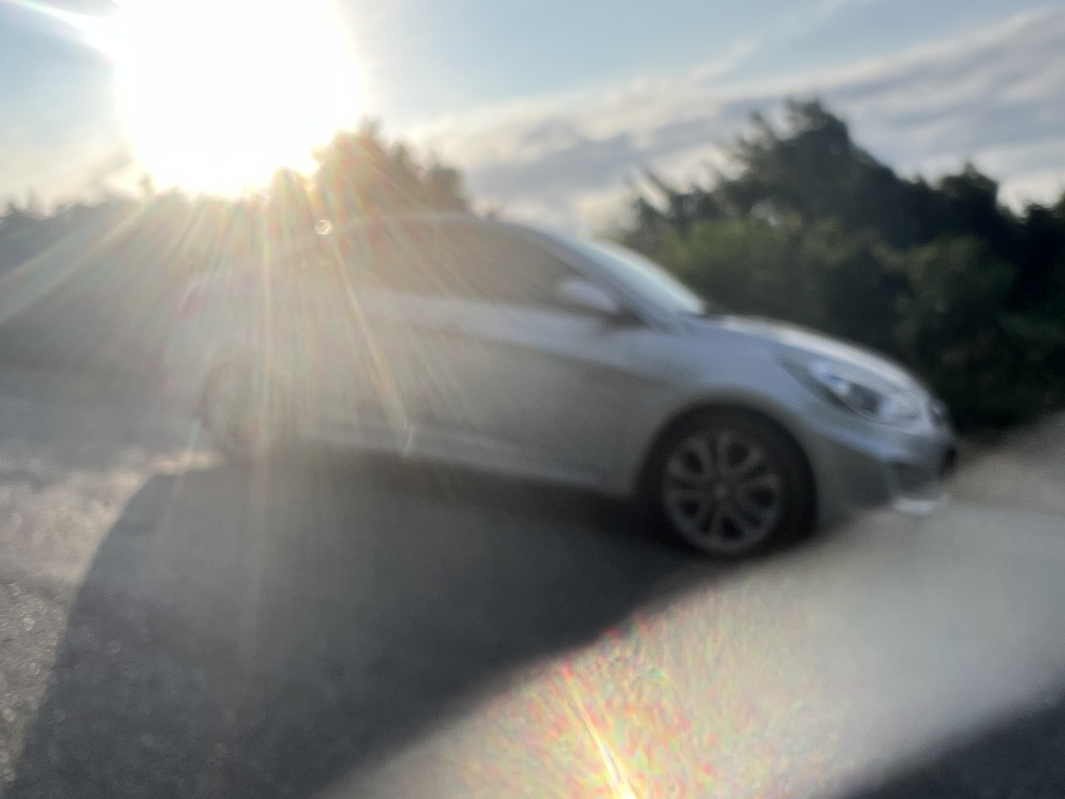 IMG_5418.jpeg