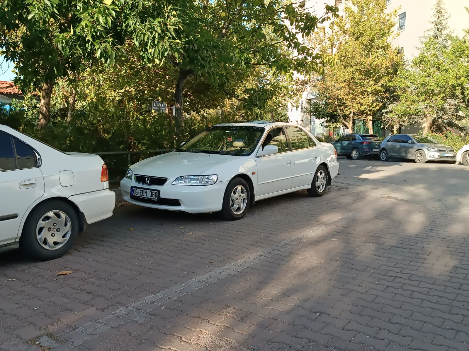 IMG-20250913-WA0001.jpg