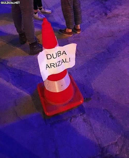 1759868707833.jpeg