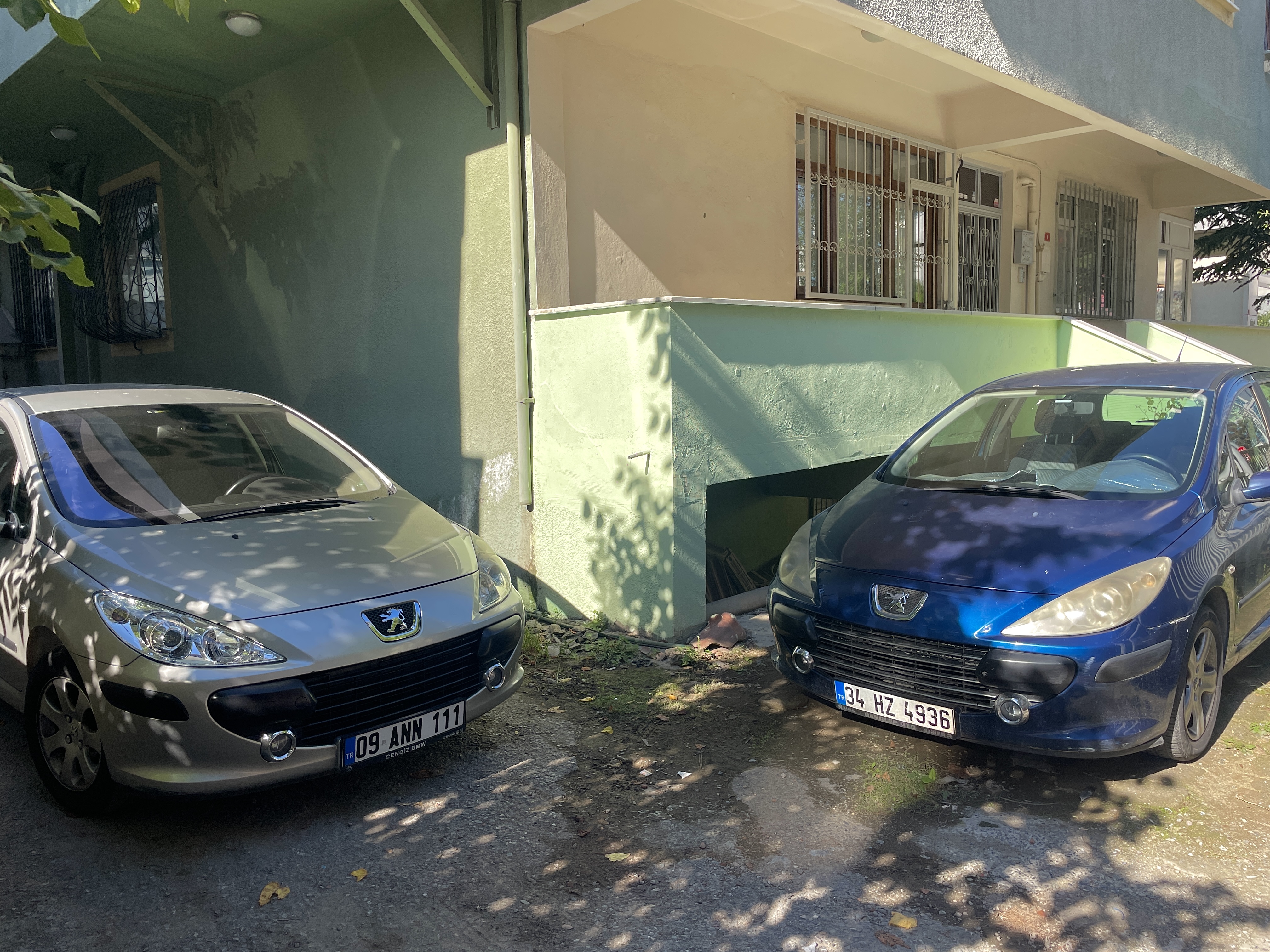 IMG_8505.jpeg IMG_8505.jpeg