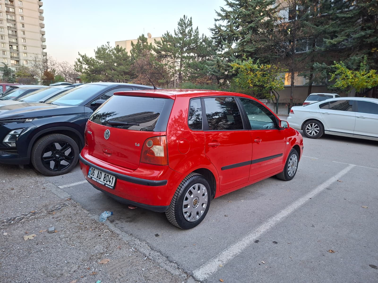 polo-6.jpeg polo-6.jpeg