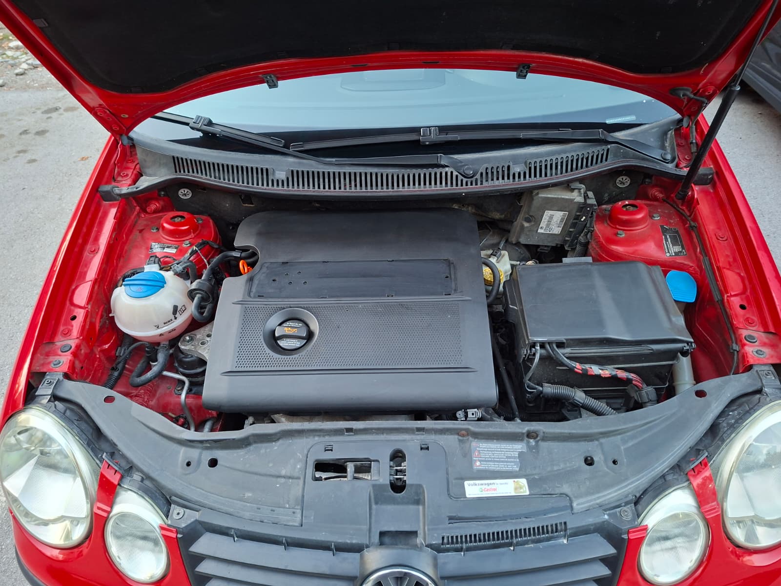 polo-12.jpeg polo-12.jpeg