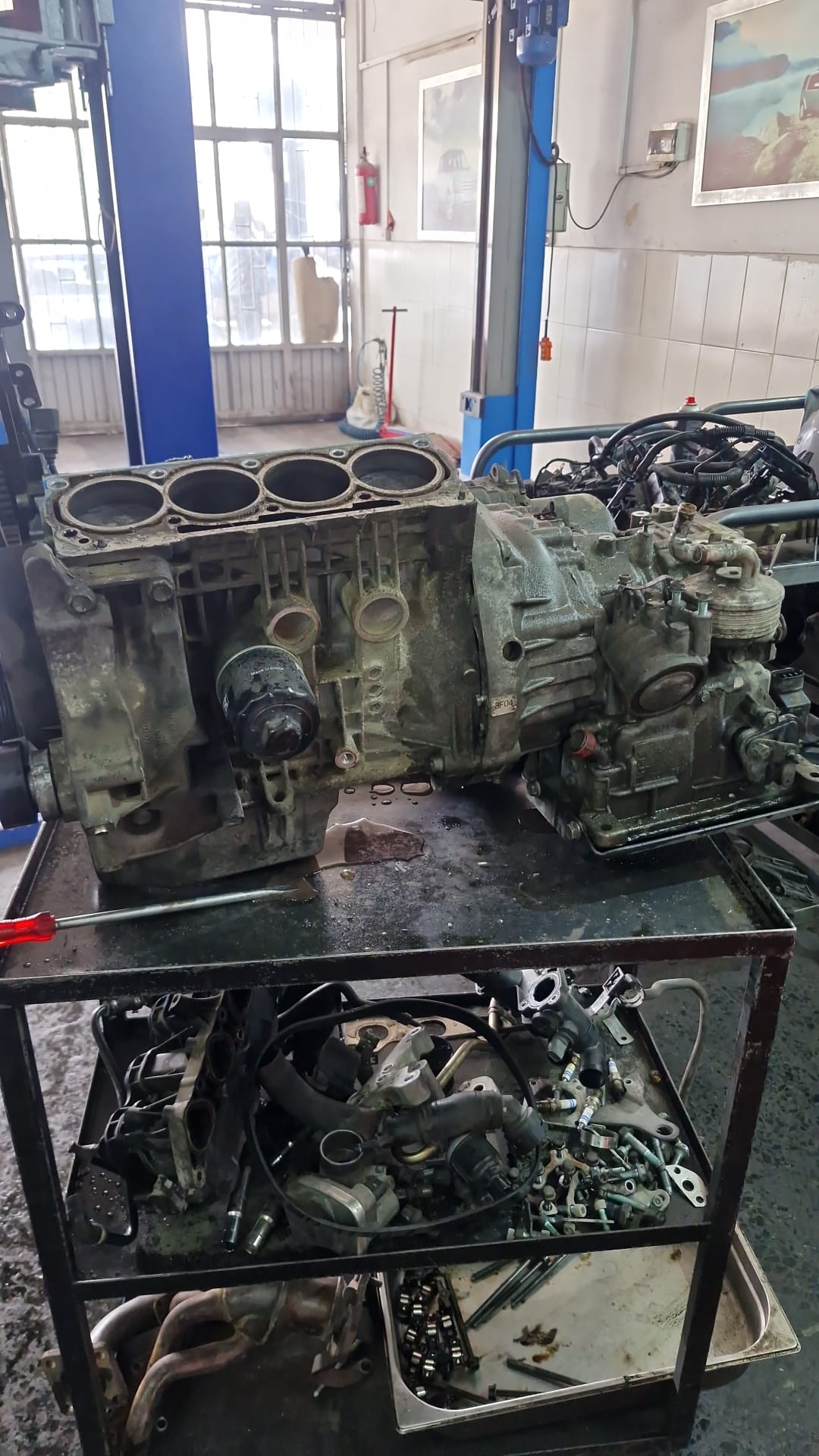 WhatsApp Image 2025-12-19 at 15.25.42.jpeg