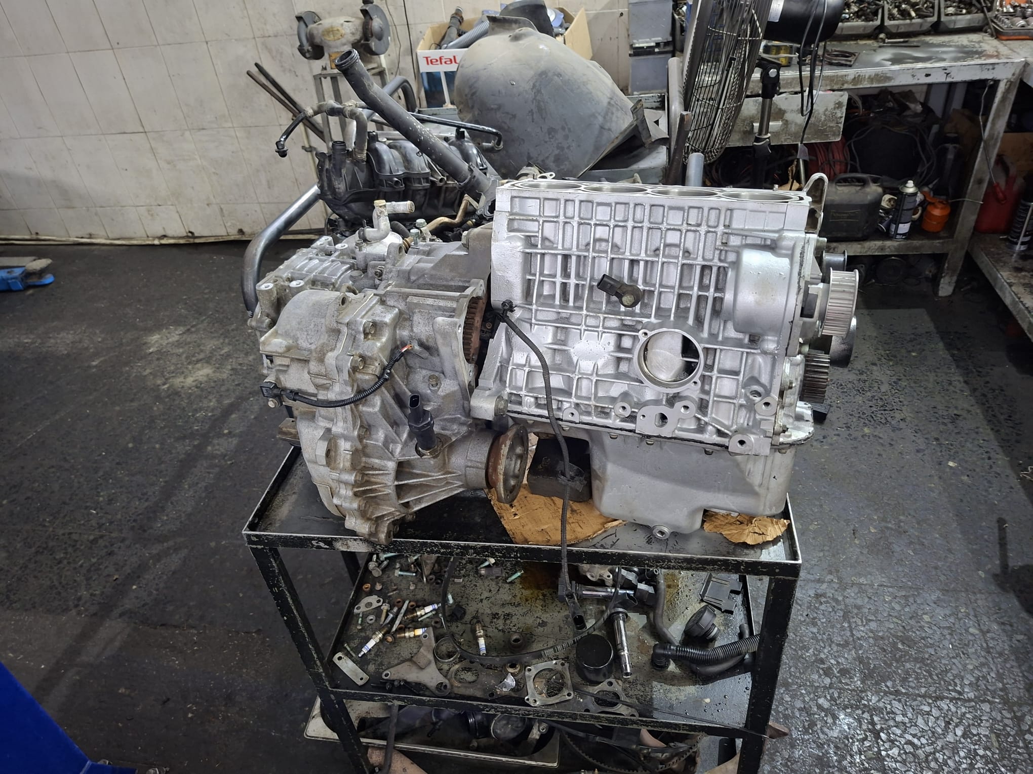 WhatsApp Image 2025-12-30 at 10.36.18.jpeg