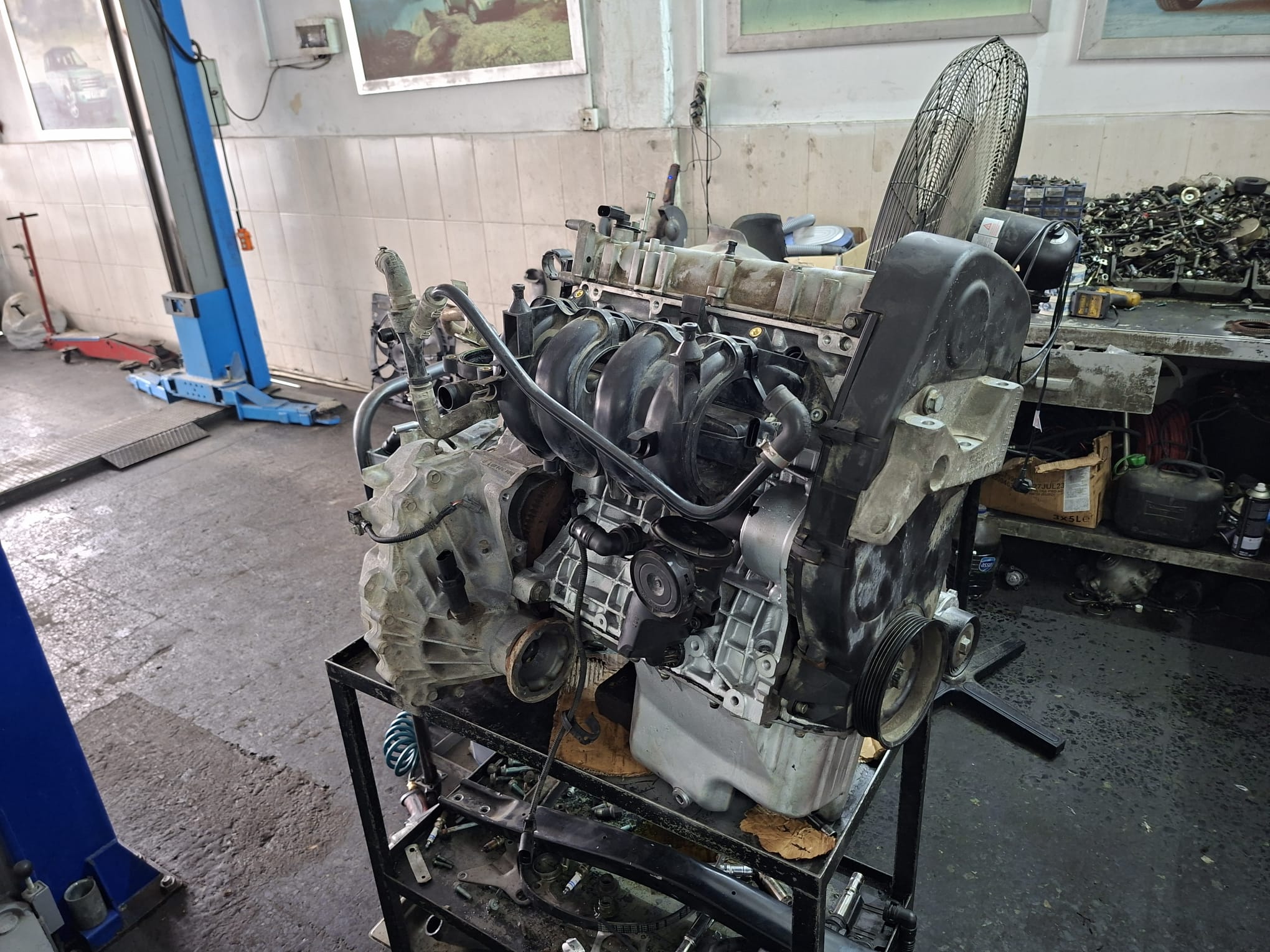 WhatsApp Image 2025-12-30 at 10.36.19(2).jpeg