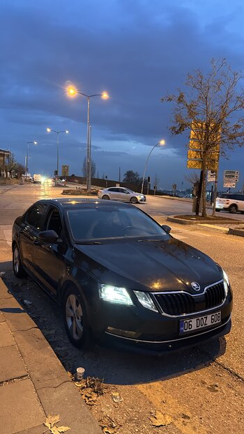 1767683078972.jpeg 1767683078972.jpeg