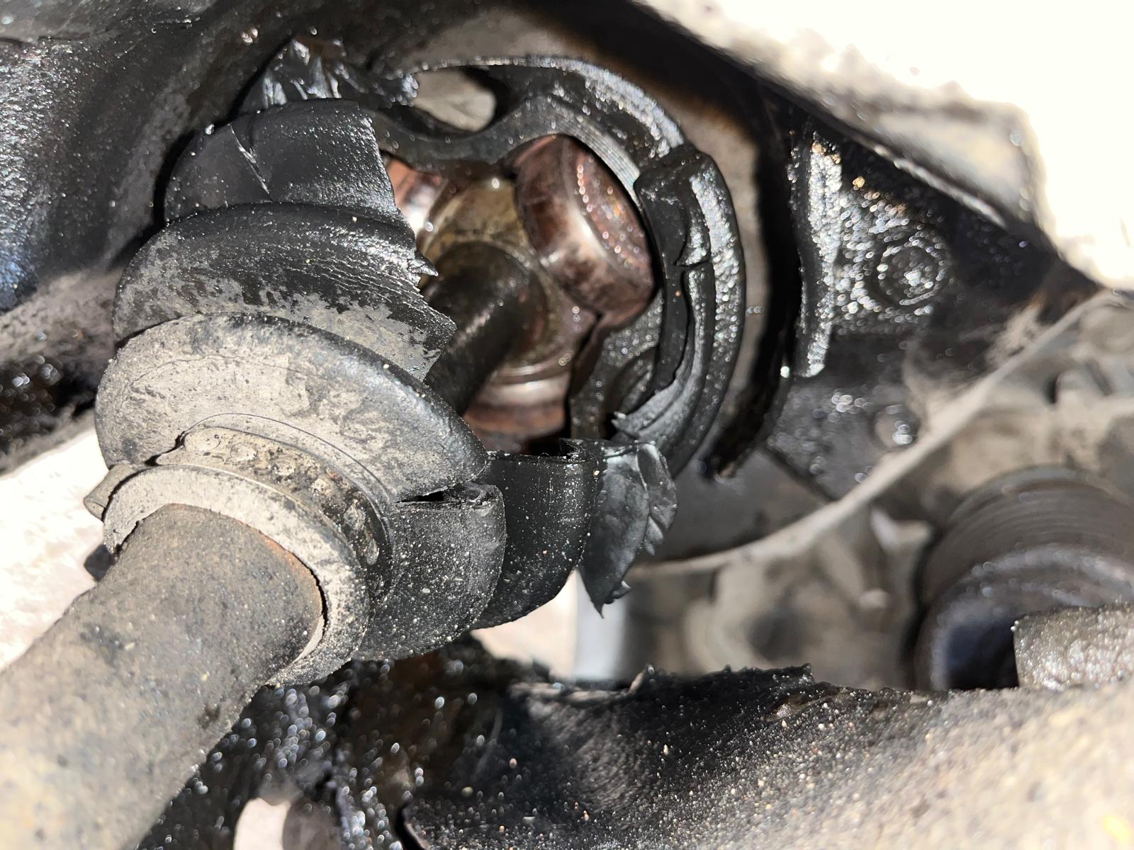 WhatsApp Image 2026-01-22 at 16.15.47.jpeg