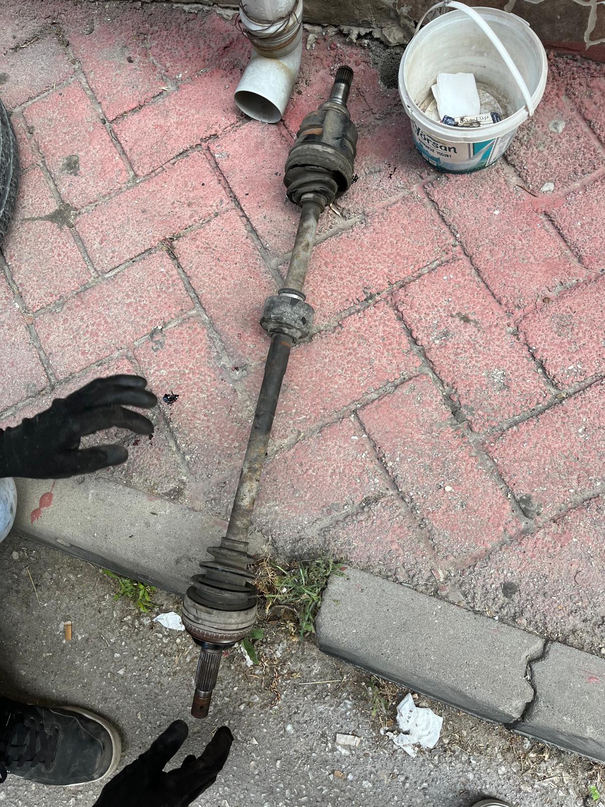 WhatsApp Image 2026-01-22 at 16.15.48.jpeg