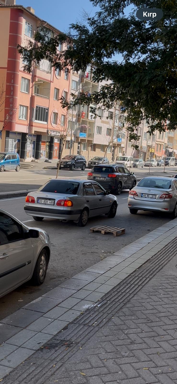 WhatsApp Image 2026-01-22 at 16.17.28.jpeg