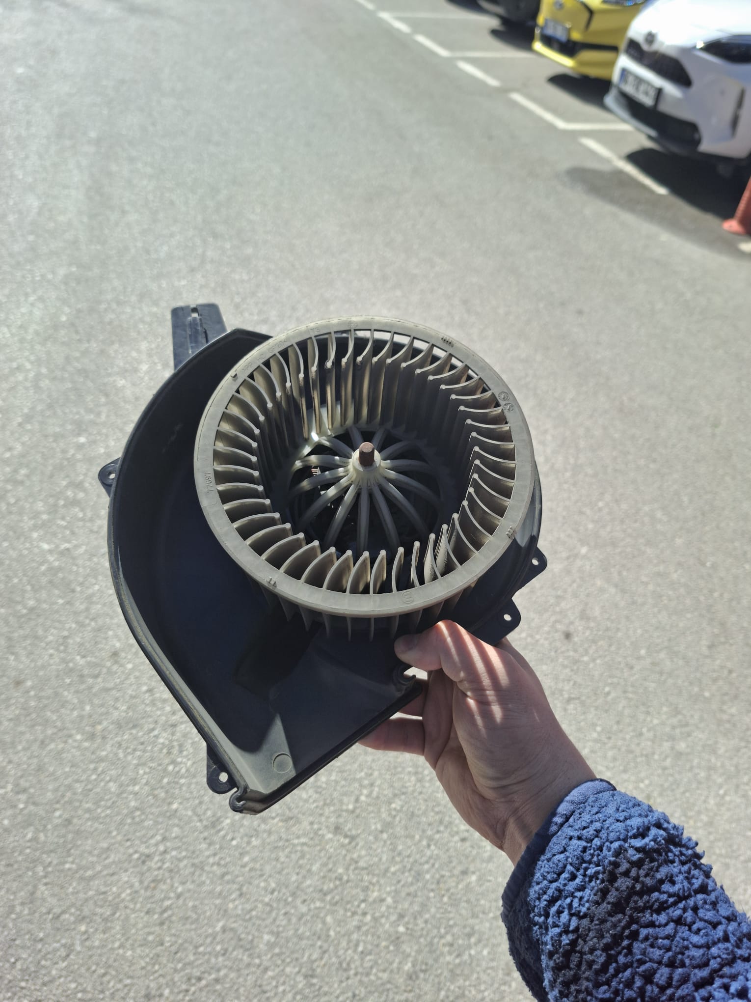 WhatsApp Image 2026-03-12 at 09.20.17.jpeg