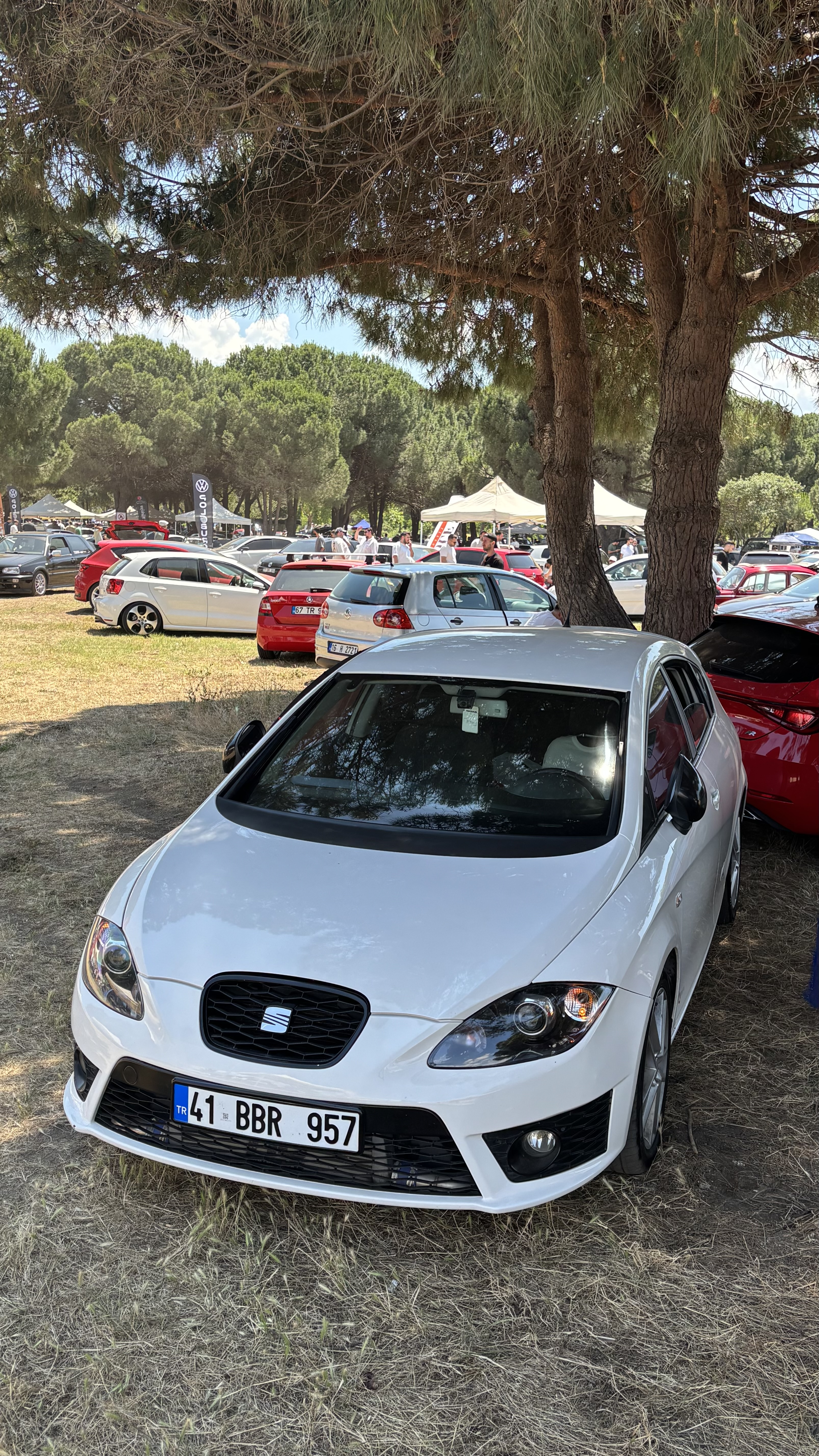 IMG_4812.jpeg